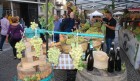 Appuntamenti il 9 e 10 ottobre